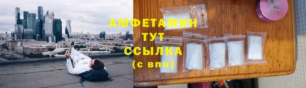 СК Бронницы