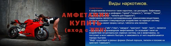 СК Бронницы