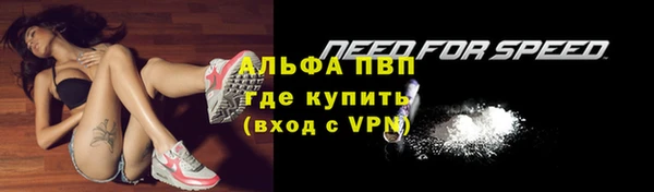 СК Бронницы