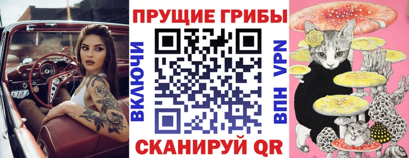 Псилоцибиновые грибы Psilocybine cubensis  Купить  Белебей 
